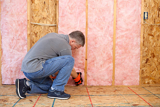 Best Energy Efficiency Insulation in Nixa, MO